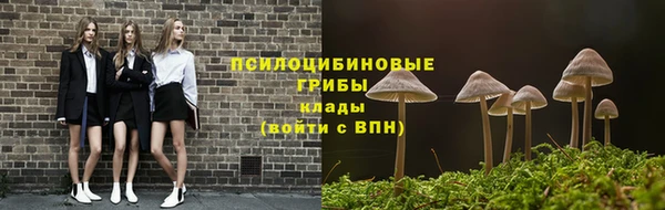 дживик Армянск