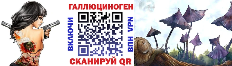 мега рабочий сайт  где найти наркотики  Ленск  Псилоцибиновые грибы Psilocybine cubensis 